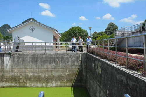 县城市管理监督局深入葡萄镇污水处理厂开展调研工作，聚焦智慧管理与绿色发展